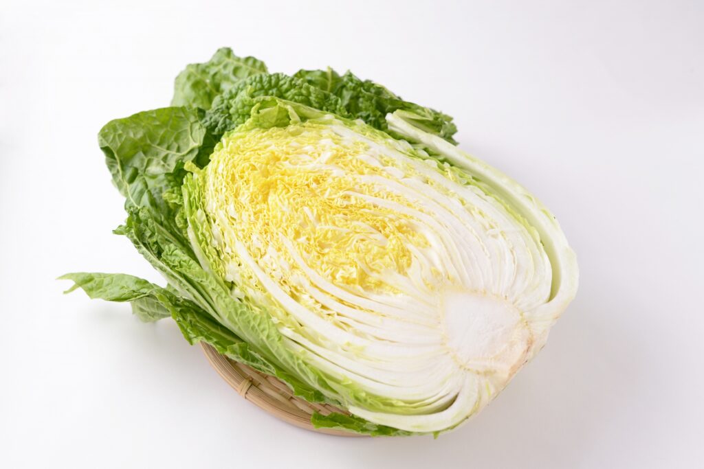 半分に割った白菜