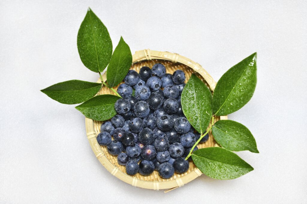 ブルーベリー