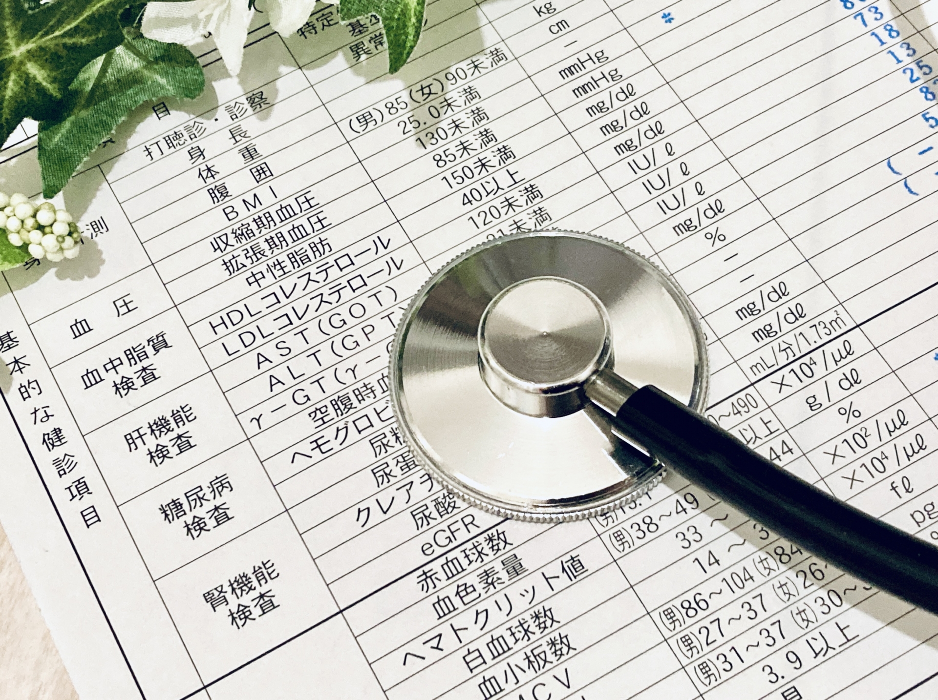 健康診断の結果