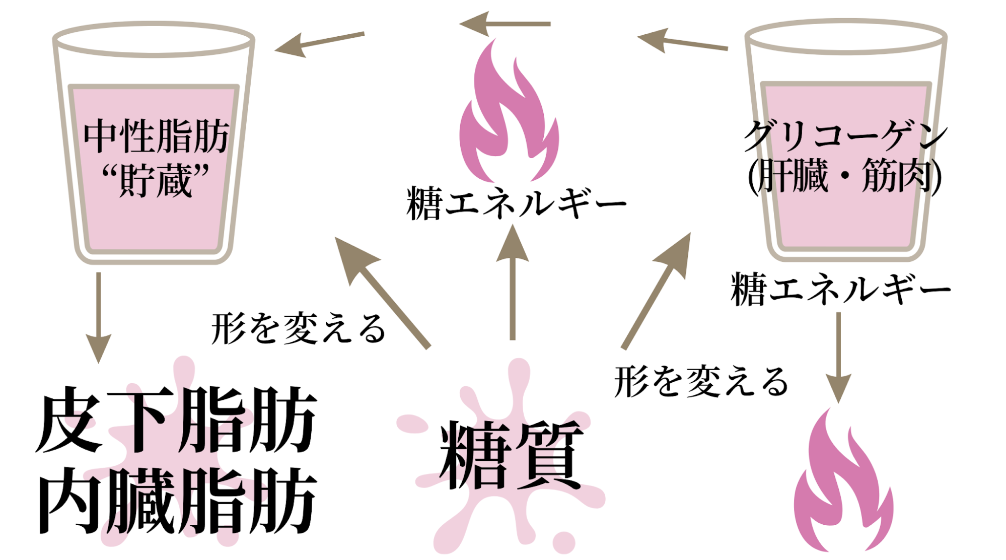 糖質が皮下脂肪になるまでの図