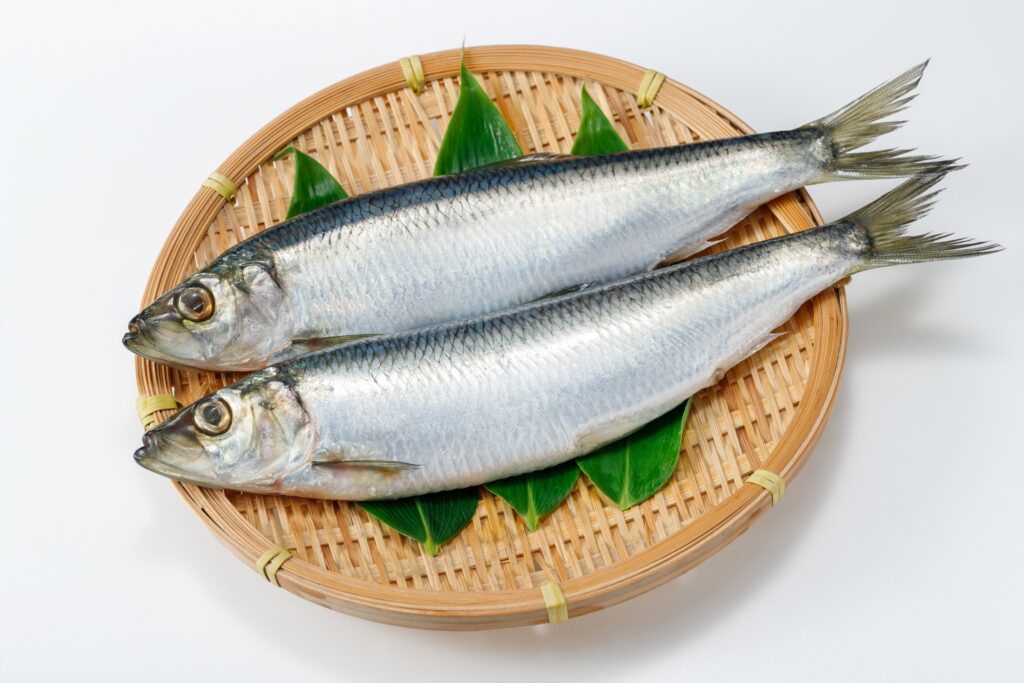 青魚