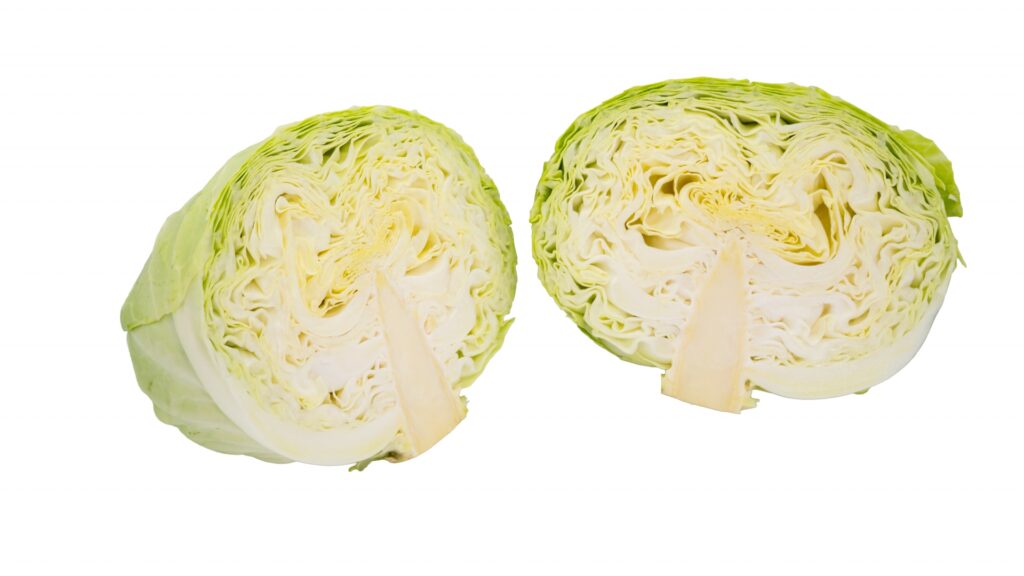 半分に割ったキャベツ
