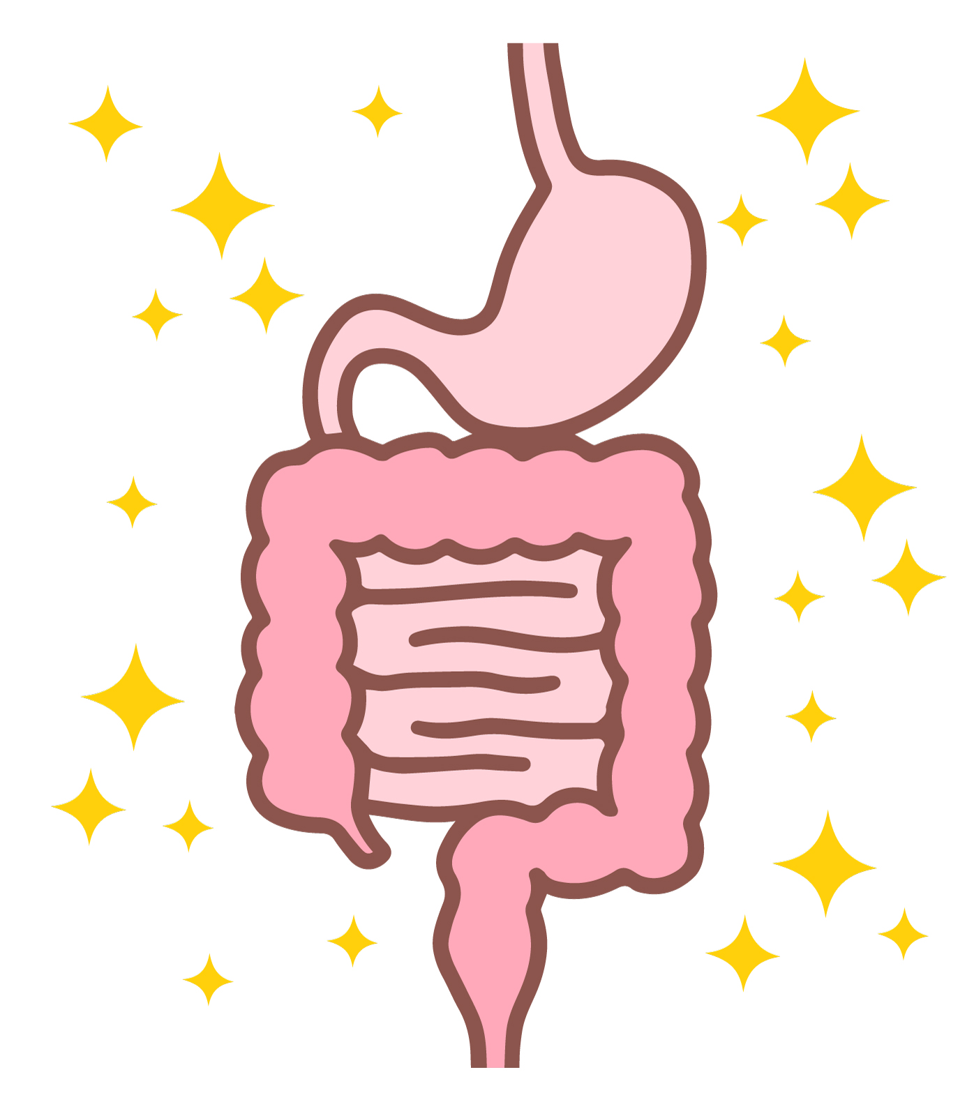 キレイな胃腸のイラスト
