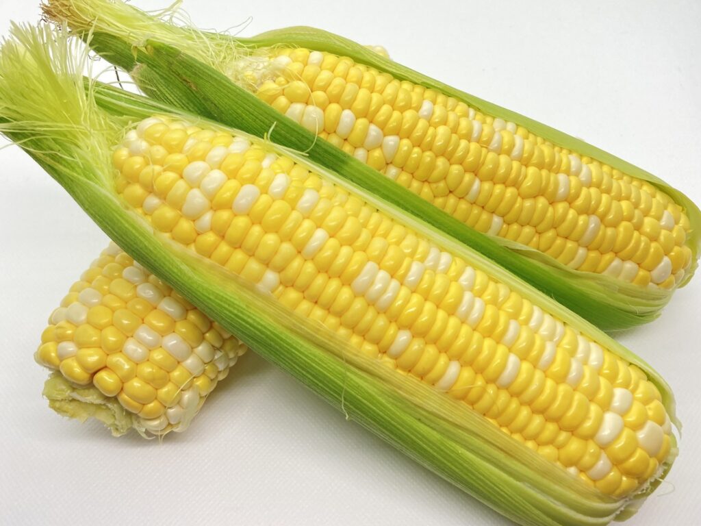 とうもろこし