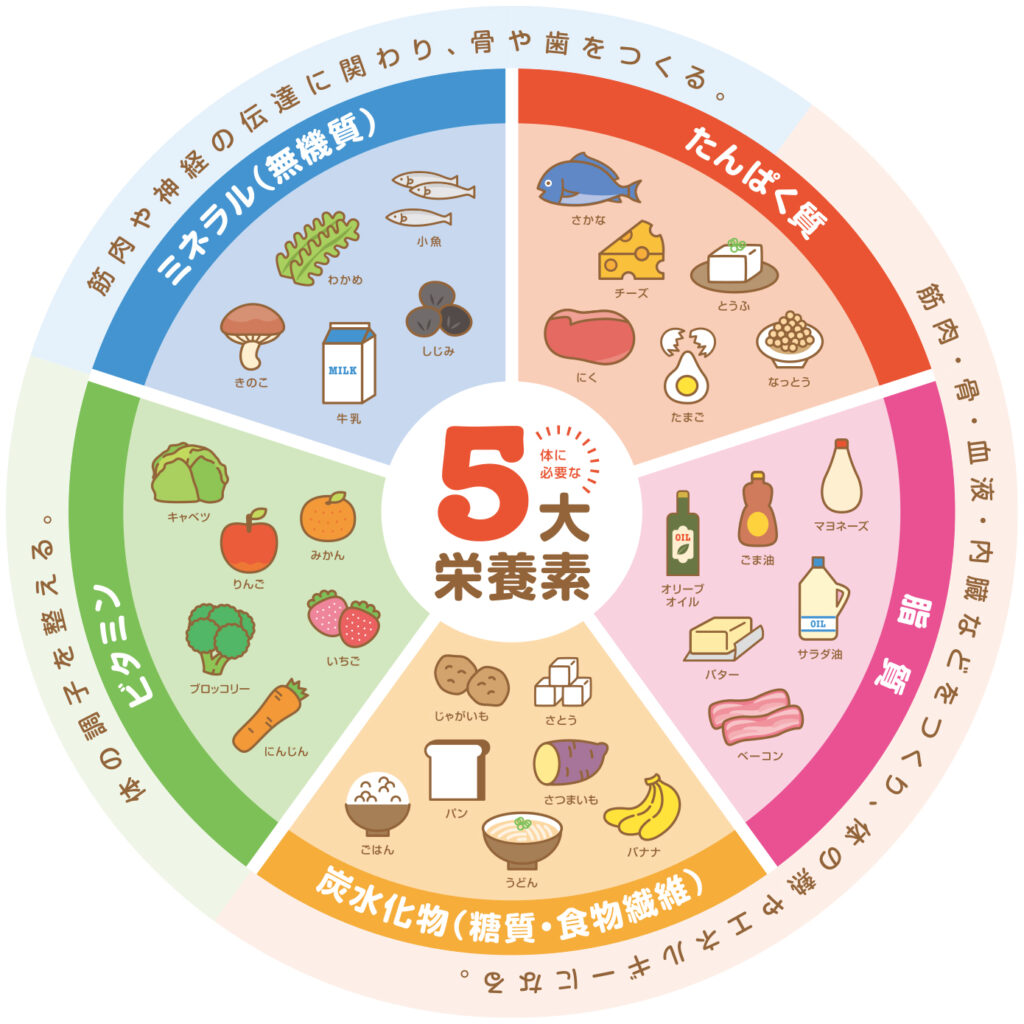 5大栄養素