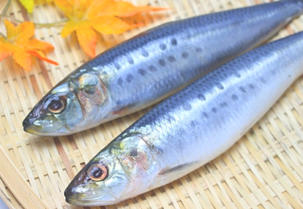 魚