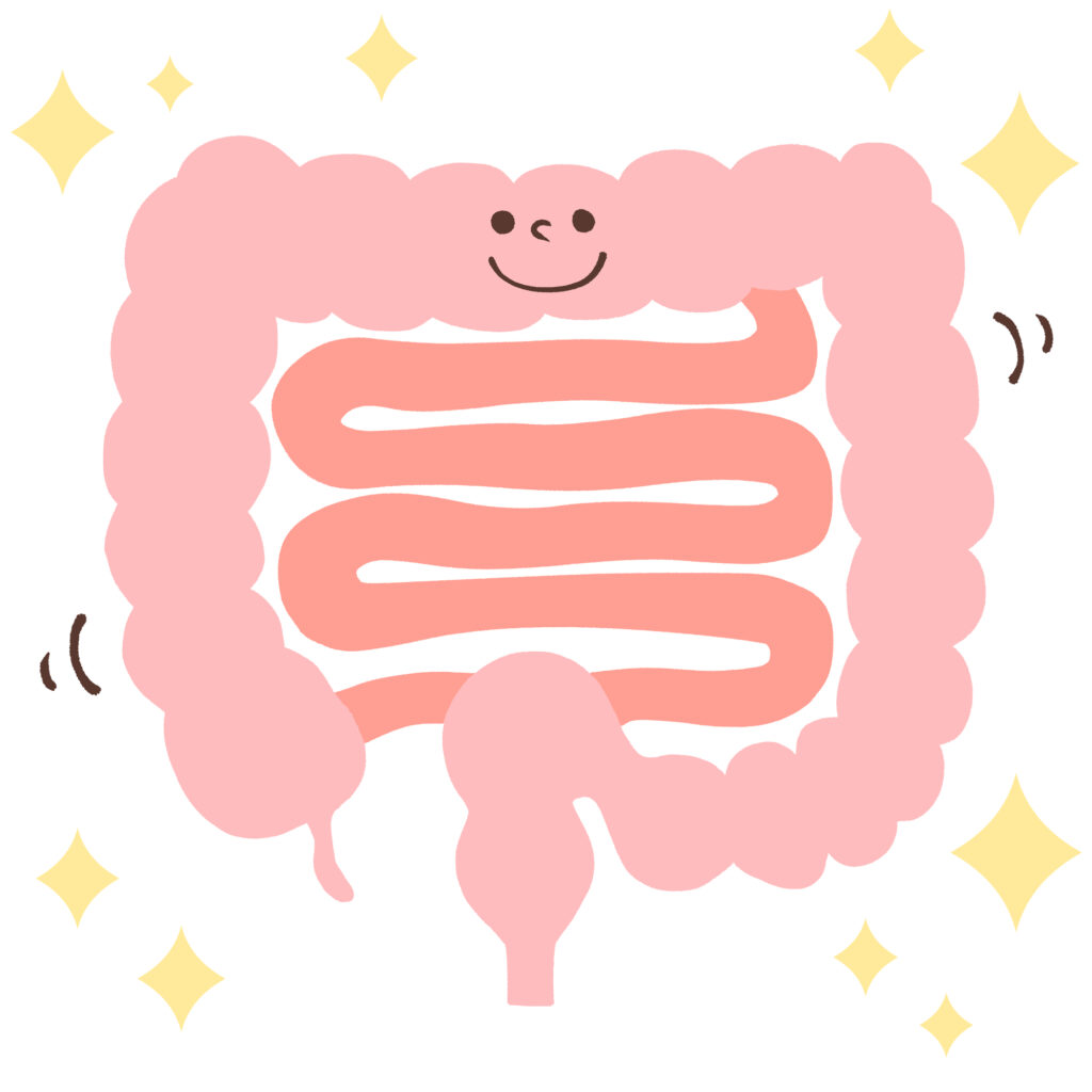 腸